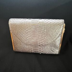 Elegant Silver Clutch